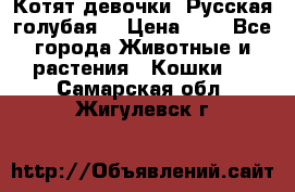 Котят девочки “Русская голубая“ › Цена ­ 0 - Все города Животные и растения » Кошки   . Самарская обл.,Жигулевск г.
